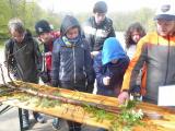 Naturerleben - hier bei den Wienröder Waldspielen 2016