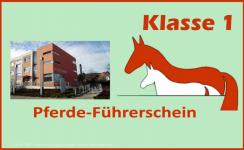 Schuljahresr&uuml;ckblick 2016&ndash;2017