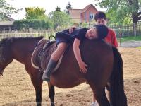 Schuljahresr&uuml;ckblick 2016&ndash;2017