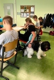 Schulhund im Unterricht als Lernhelfer