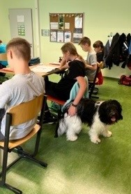 Schulhund im Unterricht als Lernhelfer: w&auml;hrend des Unterrichts wird er von Sch&uuml;lern gestreichelt.